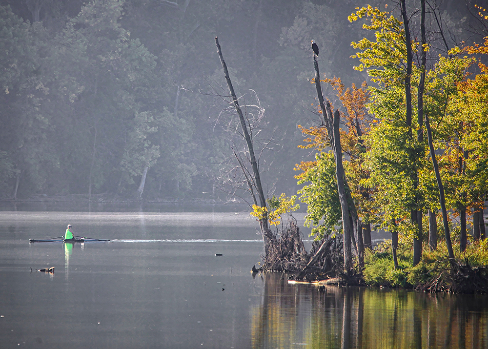 Sculling on a lake in the morning